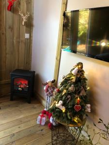 Le domaine des hauts de canche Magnifique Tiny house avec Spa