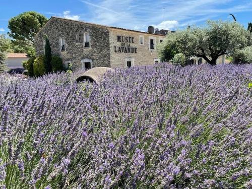 Le Dourmidou - Gite avec piscine chauffée, au pied du Luberon