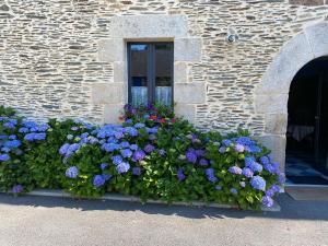 Le gîte d'Arthur