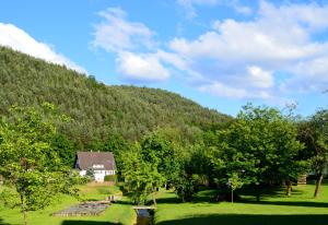 Le Gîte de l'Ecureuil
