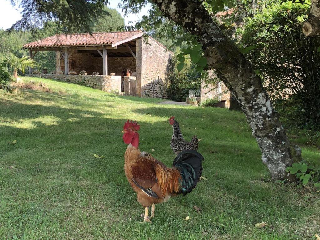 Le Gîte de lescarcelles proche du château de Bonaguil Lescarcelles, 47500 Cuzorn