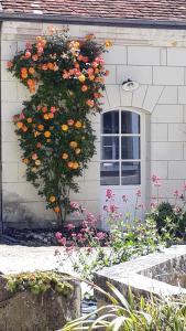 Le Gîte des Marguerites