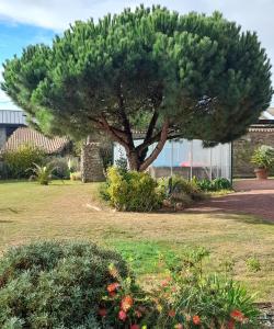 Le gîte Le Marillet