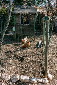 Le JARDIN DES DELIS gite NEUF avec piscine