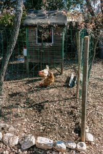 Maison de vacances Le JARDIN DES DELIS gite NEUF avec piscine 463 Chemin des Genêts 84490 Saint-Saturnin-lès-Apt Provence-Alpes-Côte d\'Azur