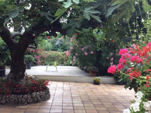 Le jardin