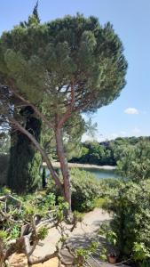 Le jardin