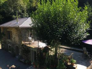 Le Martinet