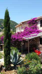 Maison de vacances Le Mas du Pic des Fées 2 Allée Louis de Funès 83400 Hyères Provence-Alpes-Côte d\'Azur