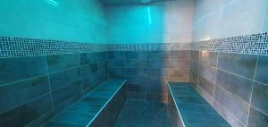 Le Milan Maison de standing avec sa piscine chauffée proche de Sarlat