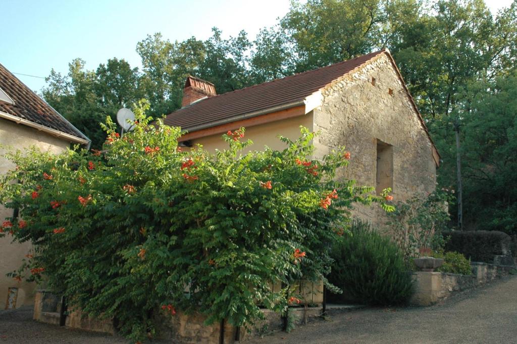 Maison de vacances Le Moulin du Bouscot Le Moulin du Bouscot 24250 Saint-Cybranet