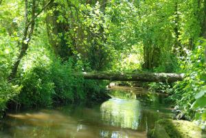 Maison de vacances Le Moulin Moreau Le Moulin Moreau 79700 Saint-Pierre-des-Échaubrognes Pays de la Loire