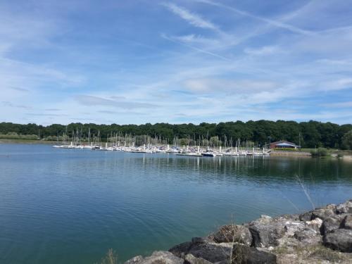 Le Nichoir Lac du Der