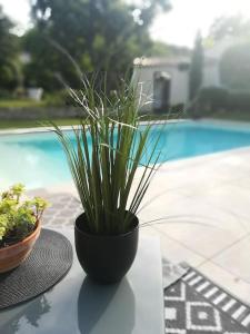 Le Patio 4*. SPA, jardin, piscine en provence, proche Grignan