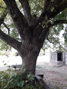 Le Patio Aux Hirondelles
