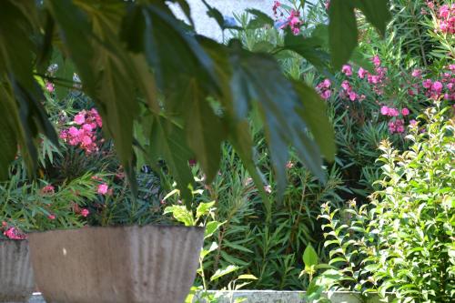 Le patio de Torreilles-Plage