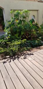 Le Patio