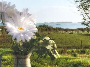 Le petit gîte cosy de Kerigou avec vue mer et plage