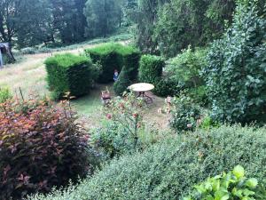 LE PETIT RENARD