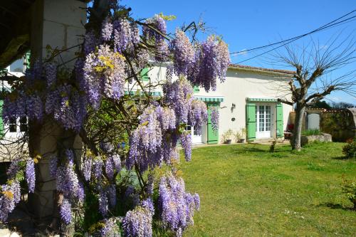 Le Petit Saule