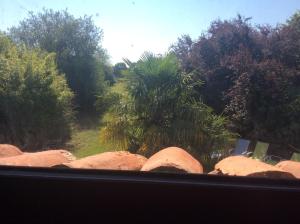 Le Pressoir