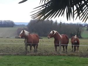 Le repos campagnard
