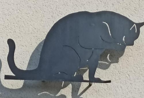 Le Roi des chats