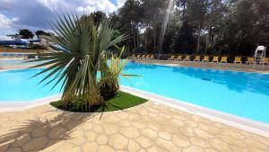 Le Stella Maris - Camping du Bois Masson