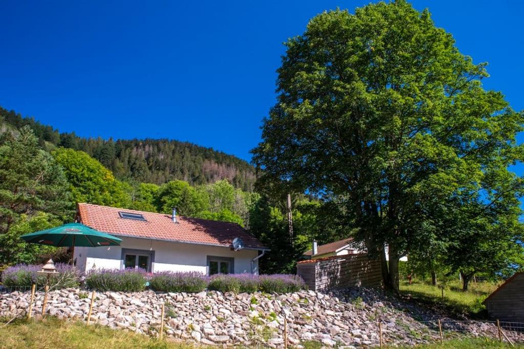 Maison de vacances Le Valtin Gite au calme 1 Meix de la Croix 88230 Le Valtin