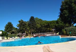 Le Victoria, piscine et forêt