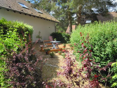 Lenzer Parkblick am Plauer See