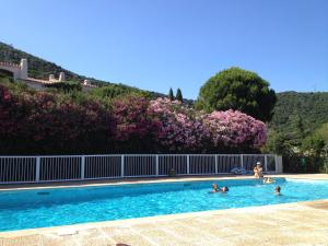les albizias