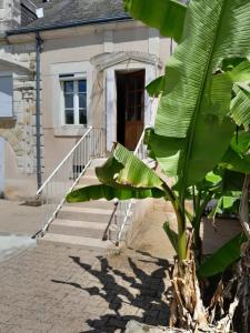 Maison de vacances Les Anciennes écuries du Château 13 Rue du Château 36150 Vatan Région Centre