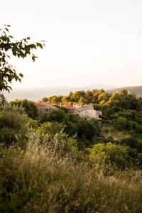 Les Balcons de Lacamp, panorama unique en Cévennes