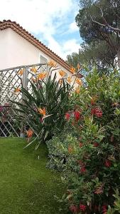 Les Bastides du Haut Para