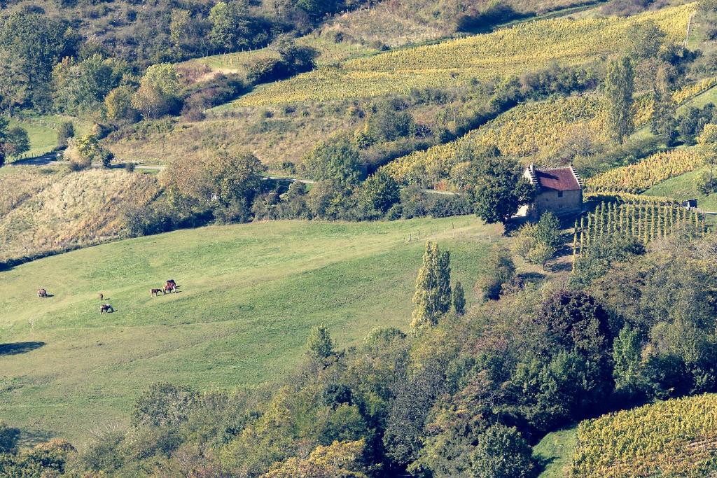 Maison de vacances Les Billardes - le gite - Jura 45 À la Rotonne 39190 Gizia