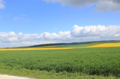 LES BOIS DE CHAMPAGNE NORDIQUE