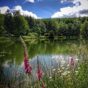 Maison de vacances Les Brizards, L'Auberge - Morvan (22 personnes) Auberge des Brizards 6 Rue de l'Odette 89630 Quarré-les-Tombes Bourgogne