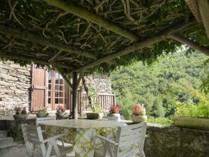 Maison de vacances Les Glycines du Lot Soulou 15120 Vieillevie Auvergne