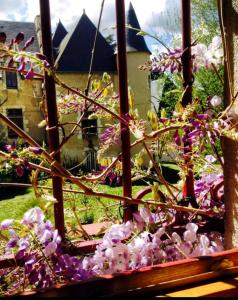 Les Glycines Holiday Cottage
