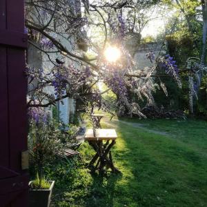 Les Glycines Holiday Cottage