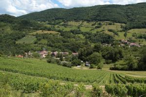 Les Granges de la Forêt