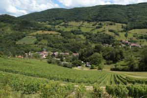 Maison de vacances Les Granges de la Forêt 228 Montée de la forêt 01640 LʼAbergement-de-Varey Rhône-Alpes