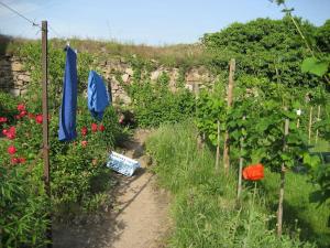 Les Hirondelles