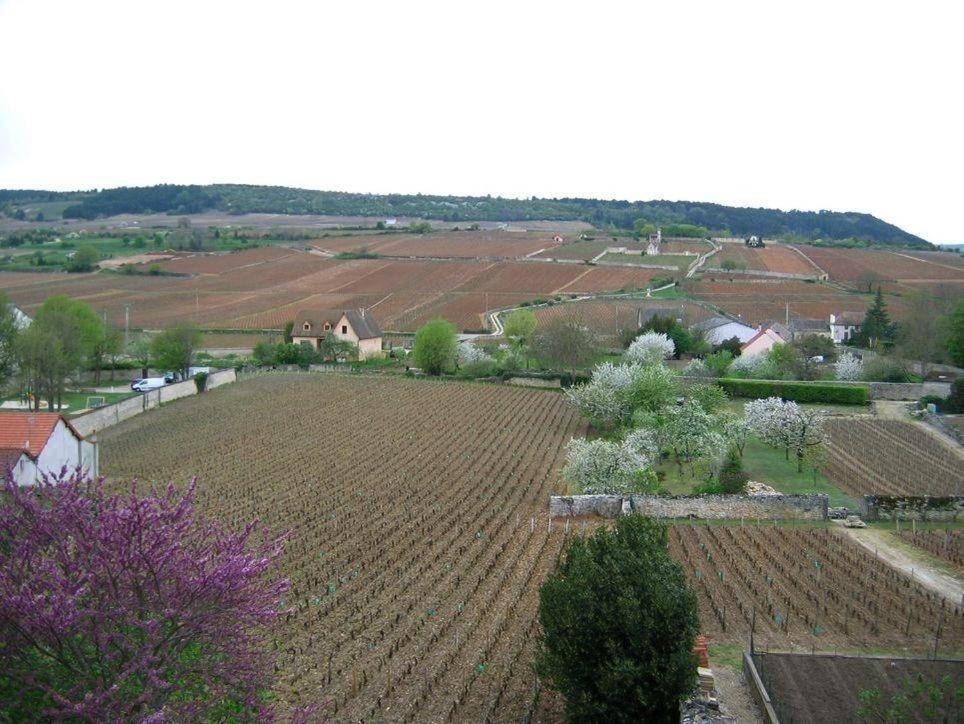 Maison de vacances Les Meix sous le Château 8, rue du 8 Mai 21190 Meursault