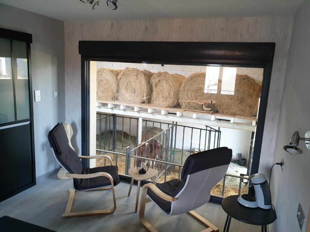 LES MIMOSAS 17370 Saint-Trojan-les-Bains