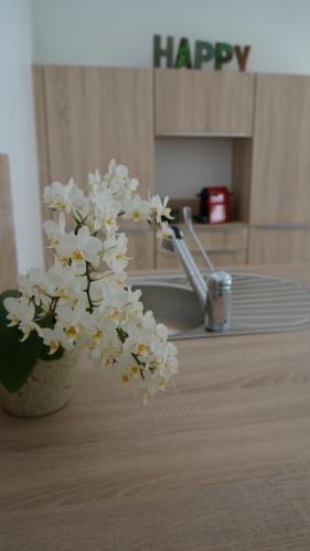 Les palmiers - Vacation Home