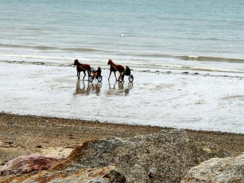 Les sables d'or
