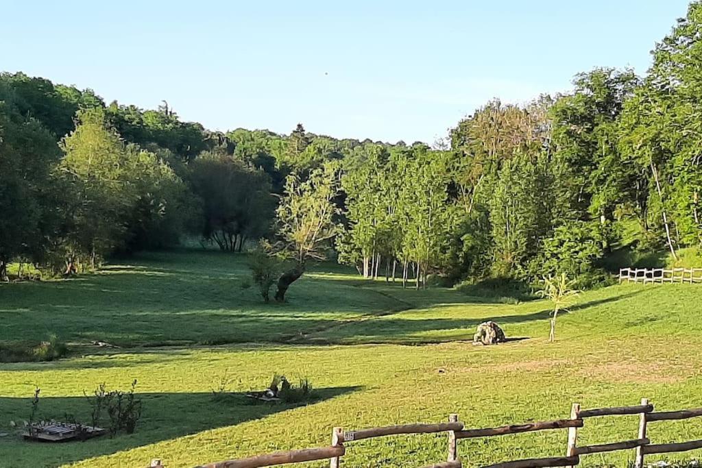 Les saules de Queyssac Robisa 315 Chemin du Grand Bos, 24140 Queyssac