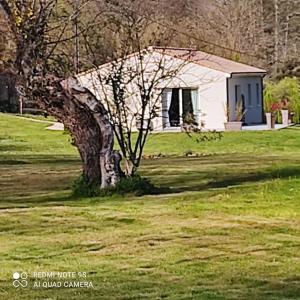 Les saules de Queyssac